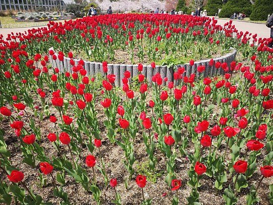 Kyoto Botanical Garden